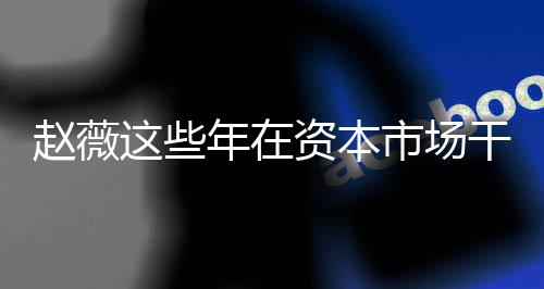 年在0年干了赵薇这些资本赵资本之路市场什么揭秘薇2